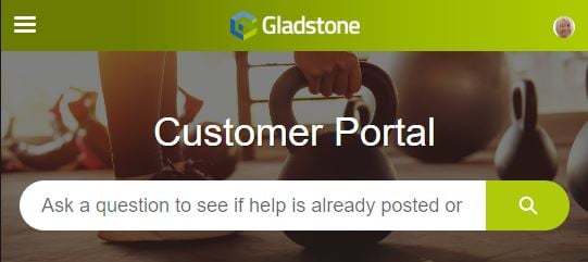 Custome Portal header