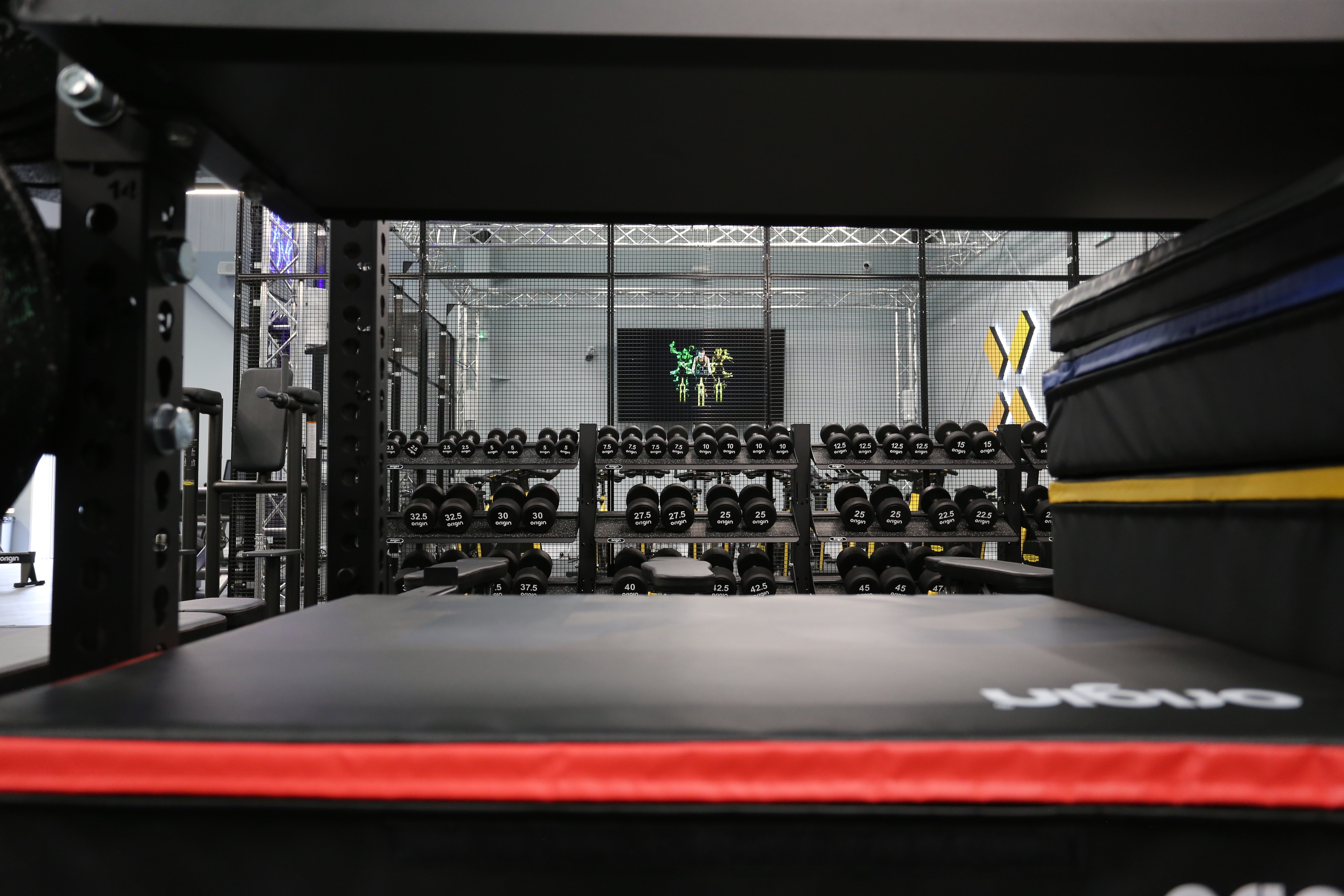 Live Borders Weights